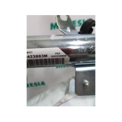 Peugeot - 807 - Airbag hemel links