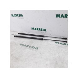 Renault - Scenic - Set of tailgate gas struts