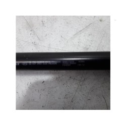 Renault - Scenic - Set of tailgate gas struts