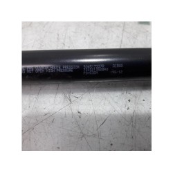 Renault - Scenic - Set of tailgate gas struts