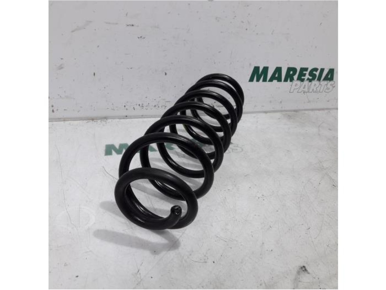 Renault - Megane - Rear coil spring
