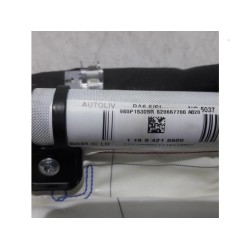Renault - Megane - Airbag hemel links