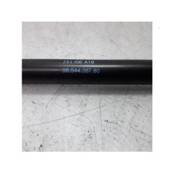 Citroen - C4 Picasso - Set of tailgate gas struts