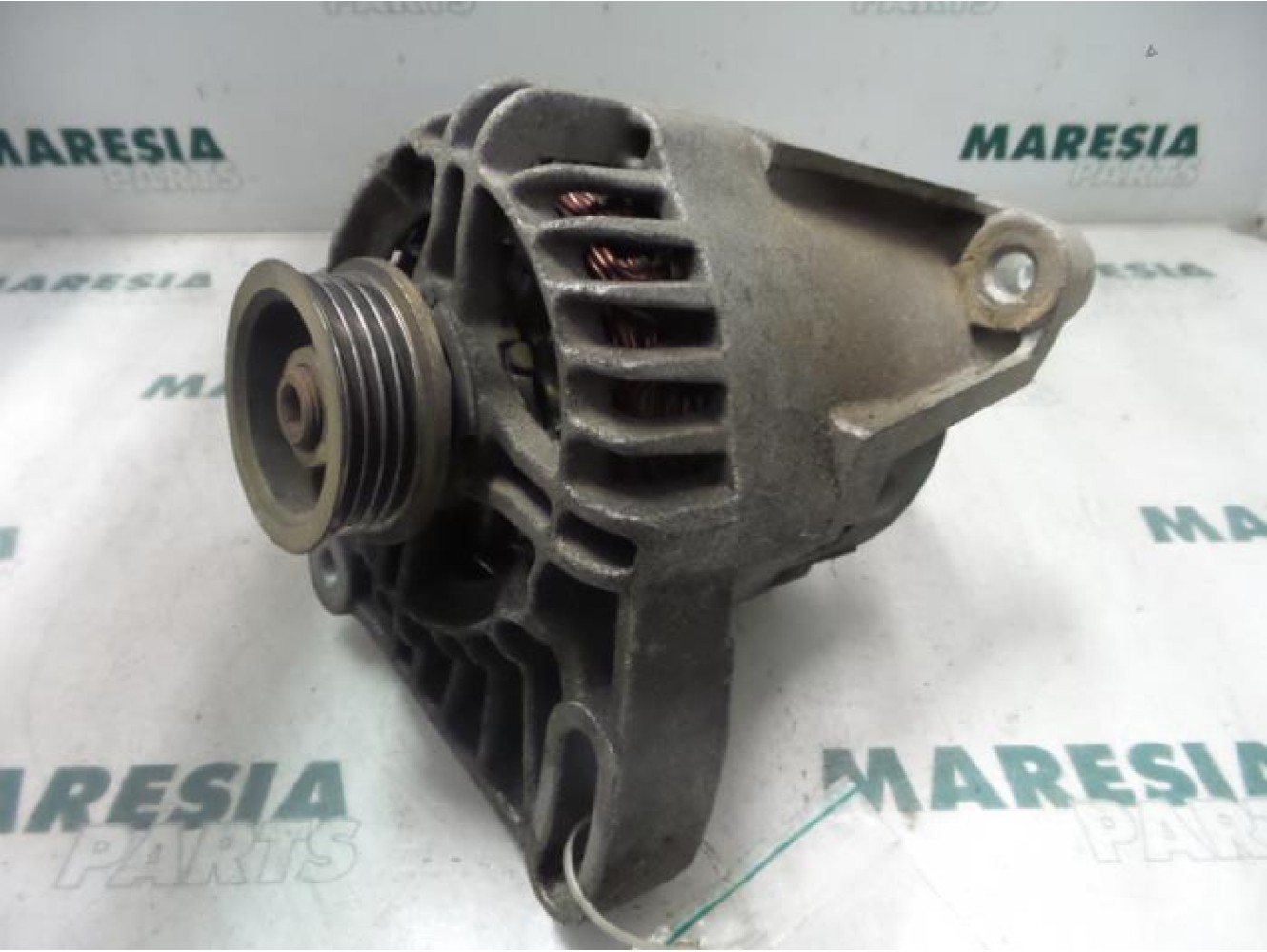 Fiat - Panda - Dynamo