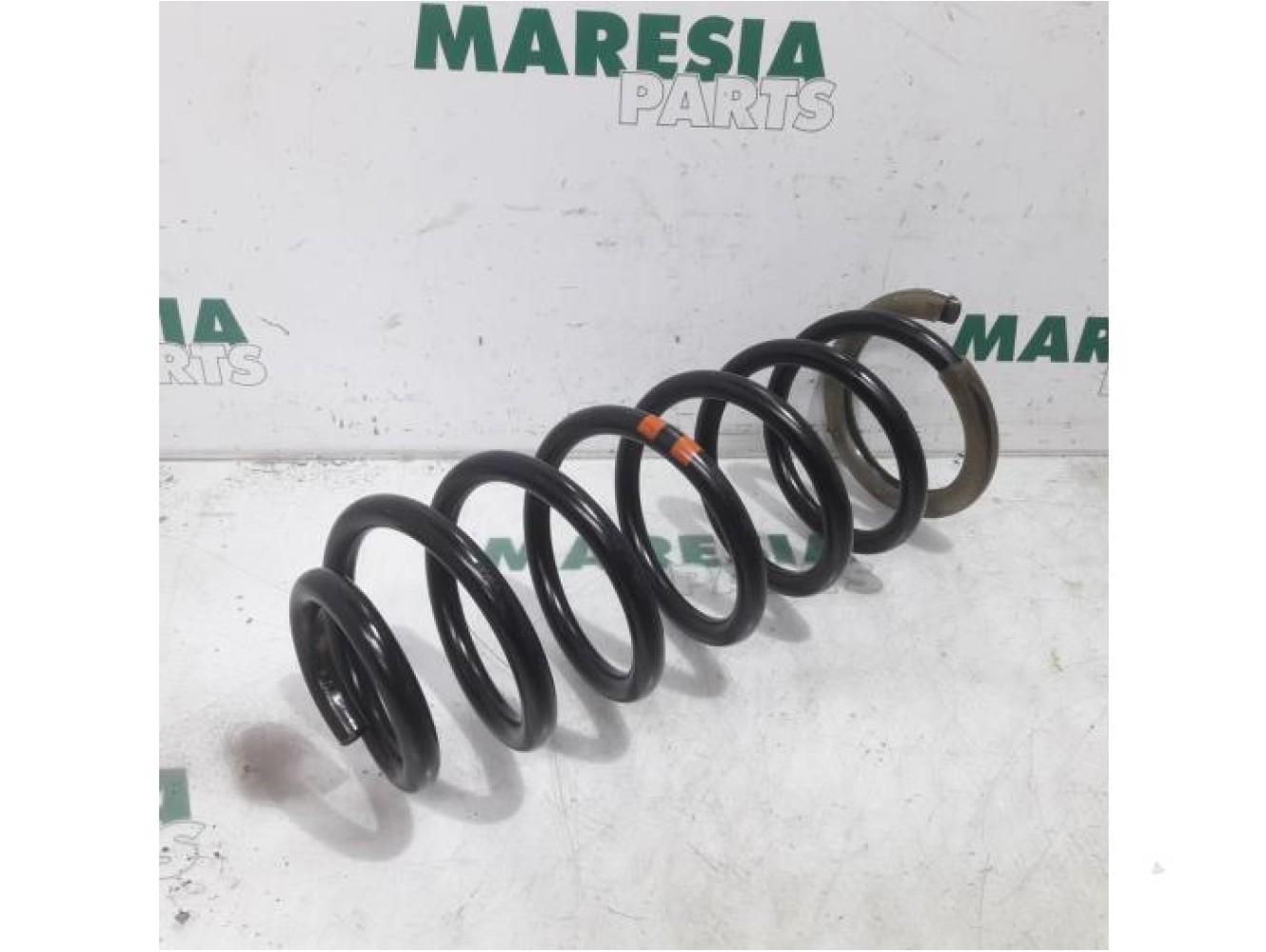 Citroen - Jumpy - Rear coil spring