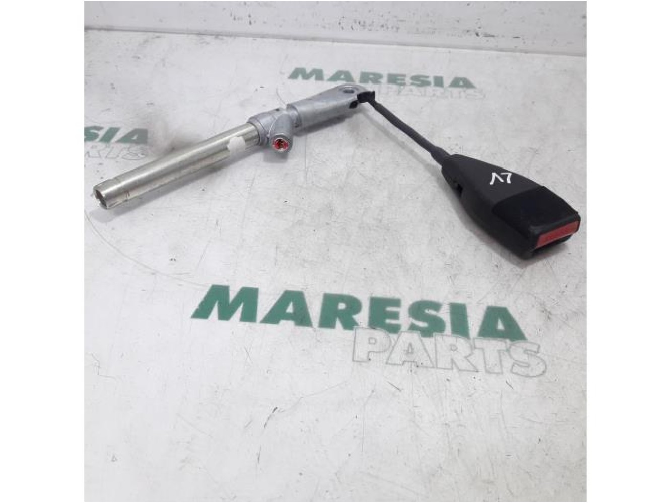 Renault - Megane Scenic - Gurtsrammer links