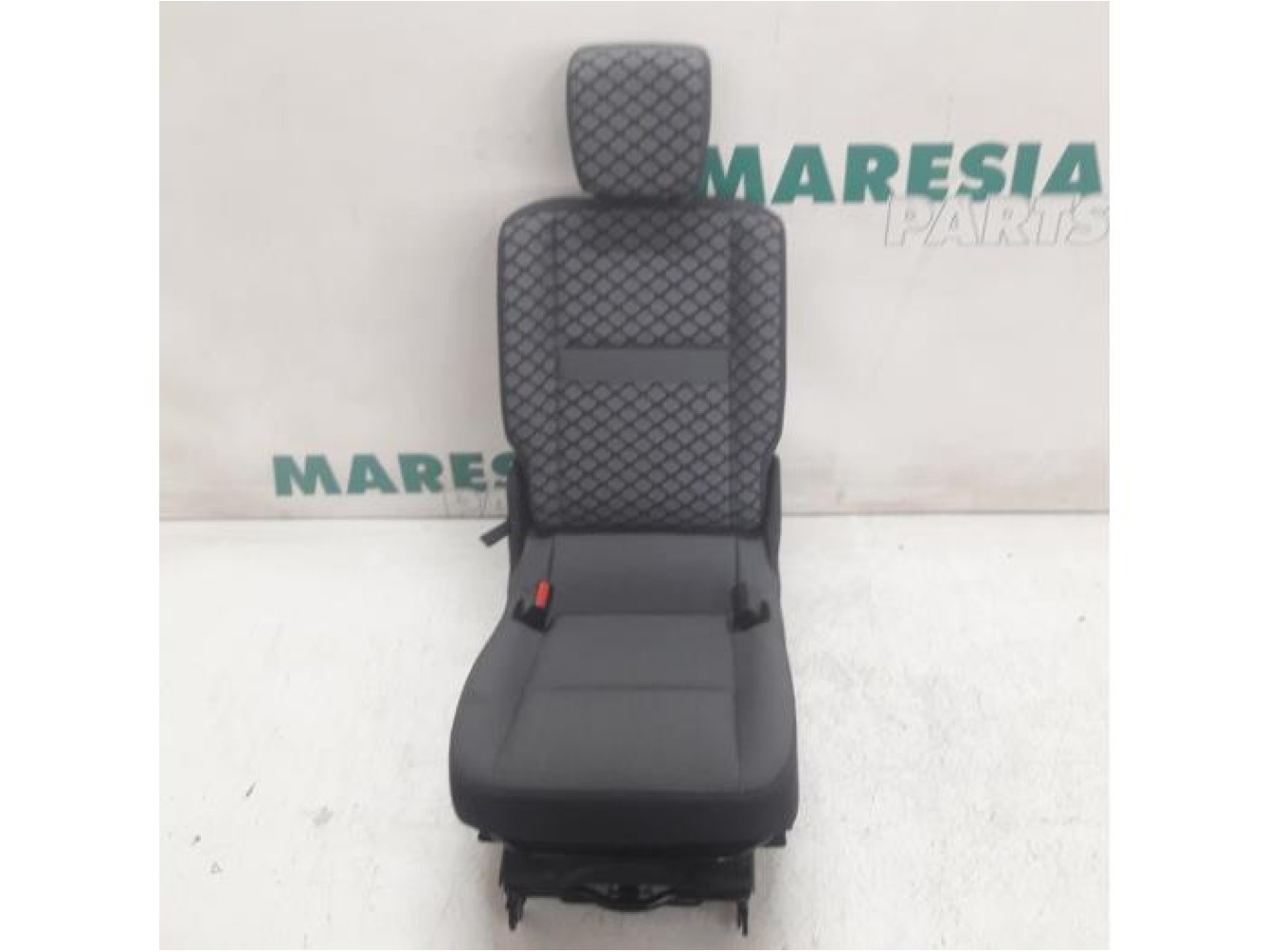 Renault - Scenic - Rear seat
