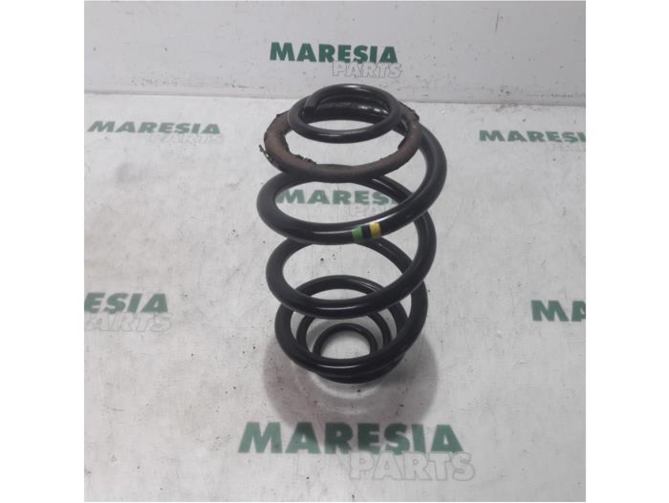 Renault - Trafic - Rear coil spring