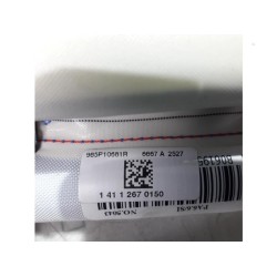 Renault - Scenic - Airbag hemel links