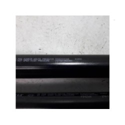Renault - Scenic - Set Gasdämpfer Heckklappe