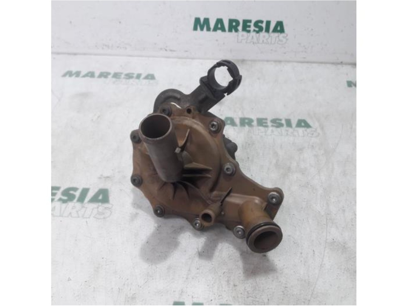 Fiat - Ducato - Wasserpumpe