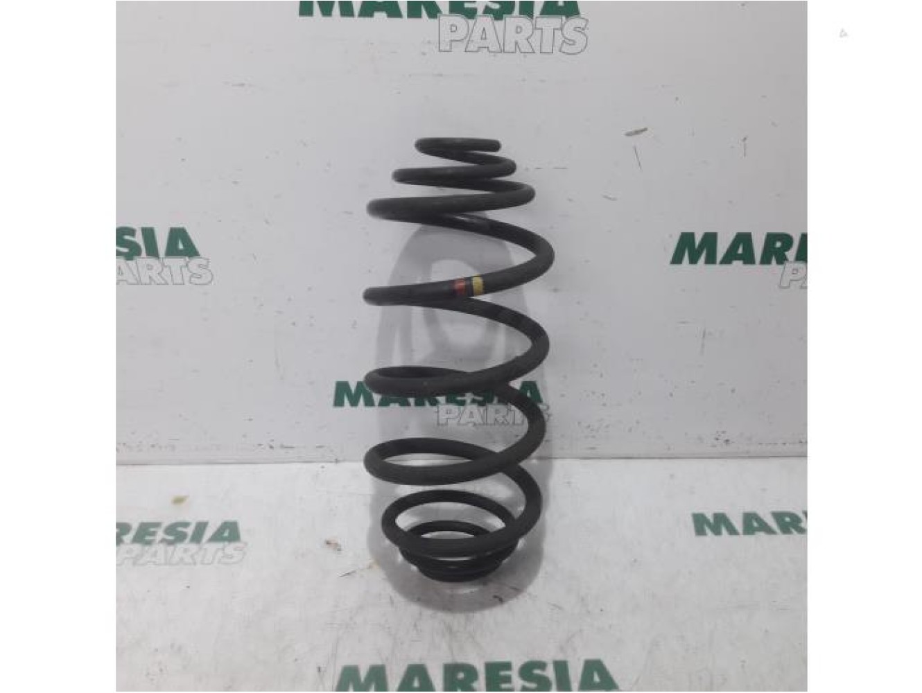 Renault - Kangoo - Rear coil spring