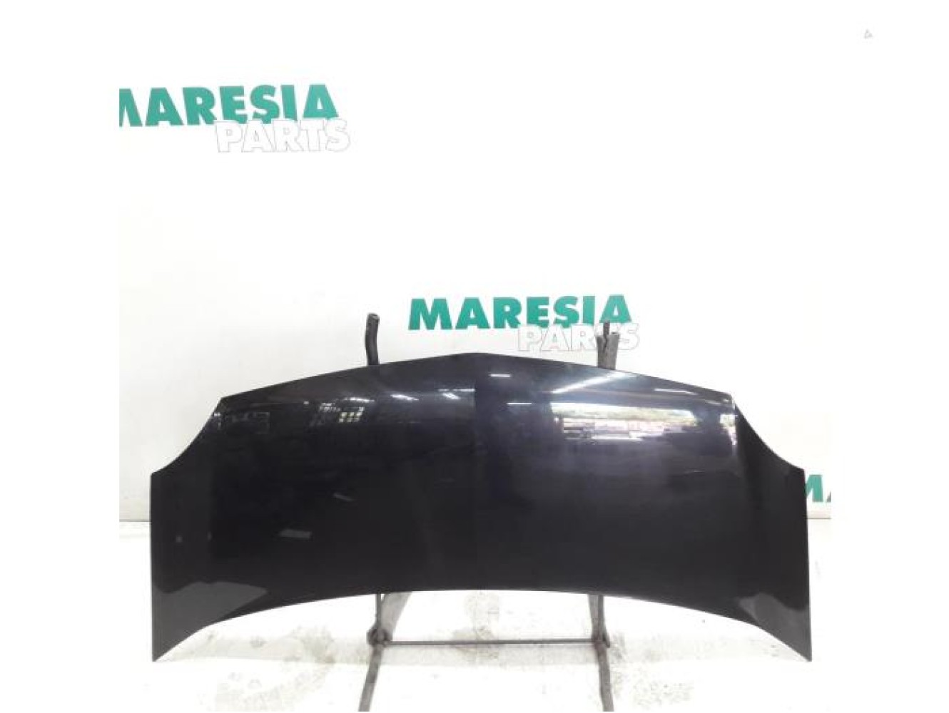 Renault - Kangoo - Motorhaube