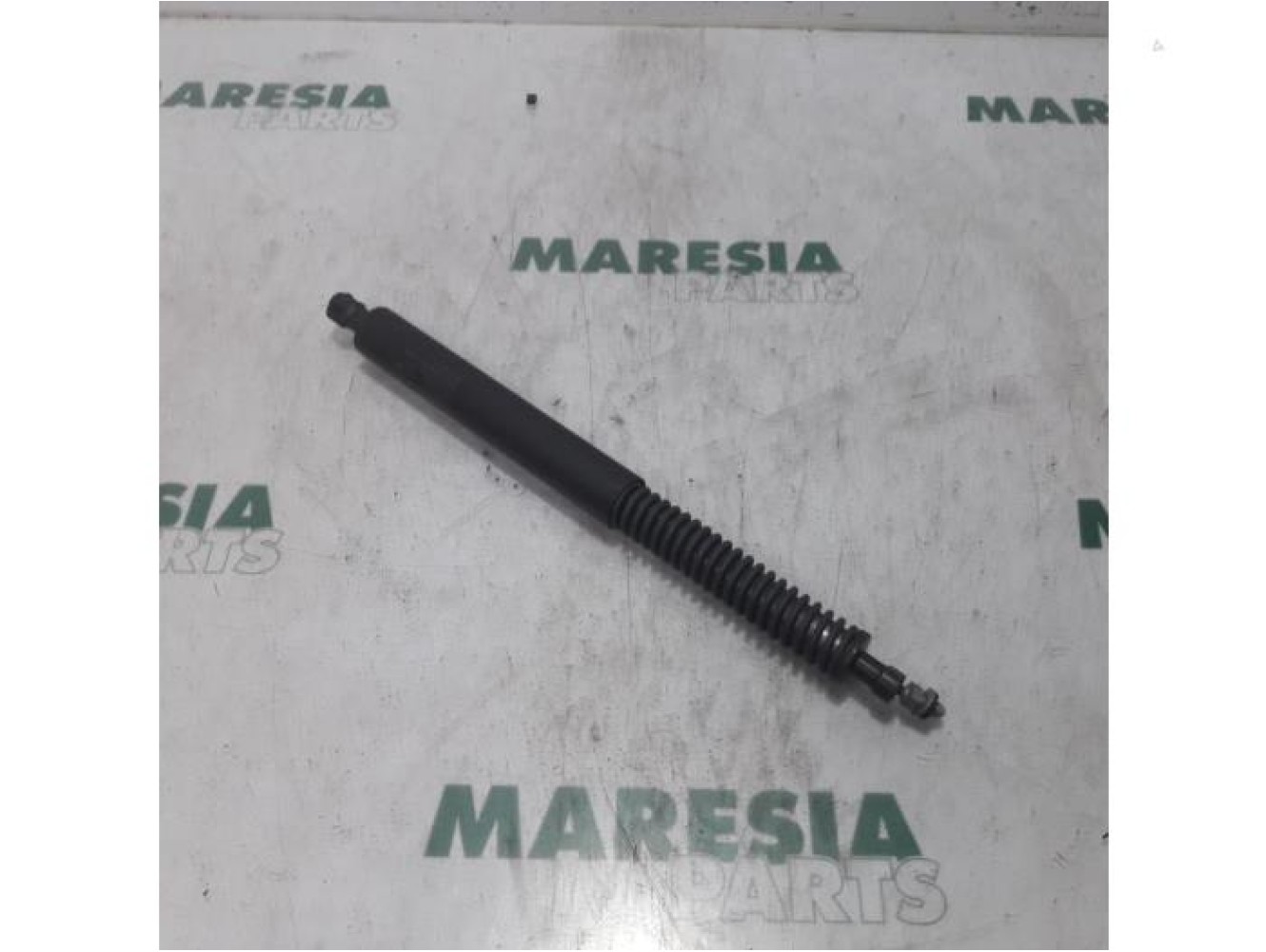 Peugeot - 308 - Set of tailgate gas struts