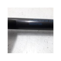 Peugeot - 3008 - Set of tailgate gas struts