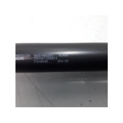 Citroen - C3 Picasso - Set of tailgate gas struts