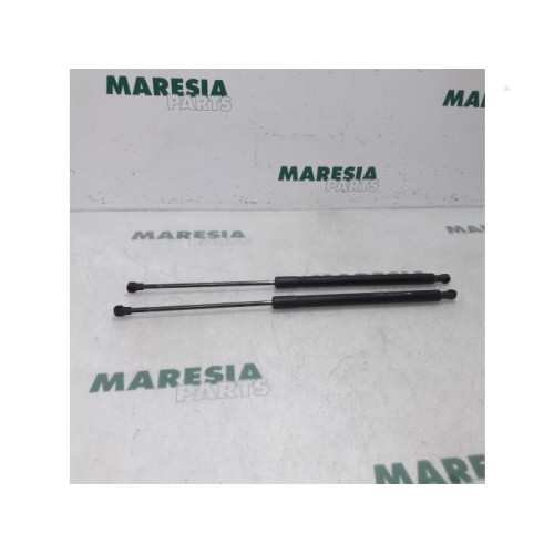 Citroen - C3 Picasso - Set of tailgate gas struts