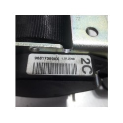 Citroen - C3 Picasso - Veiligheidsgordel midden-achter
