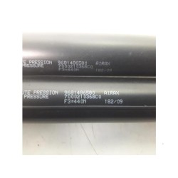 Citroen - C3 Picasso - Set of tailgate gas struts