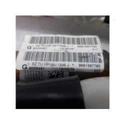 Citroen - C3 Picasso - Airbag Himmel links