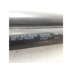 Peugeot - 208 - Set of tailgate gas struts
