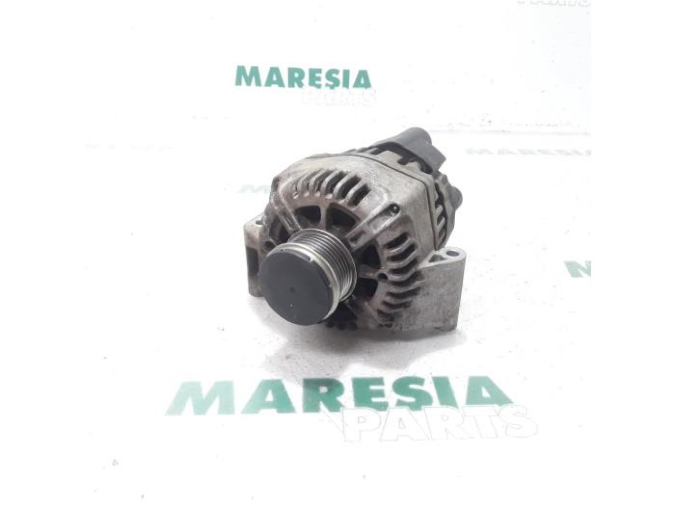 Fiat - Punto - Dynamo