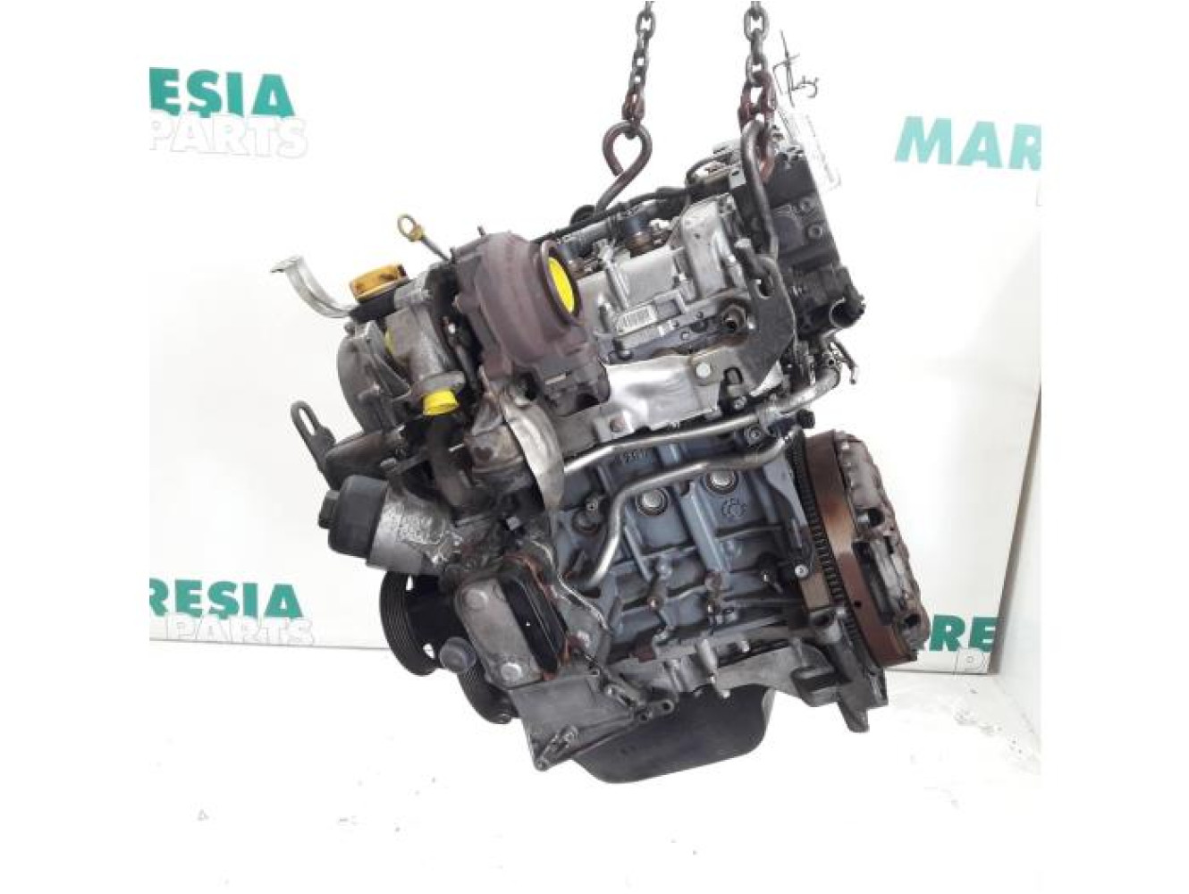 Fiat - Punto - Motor