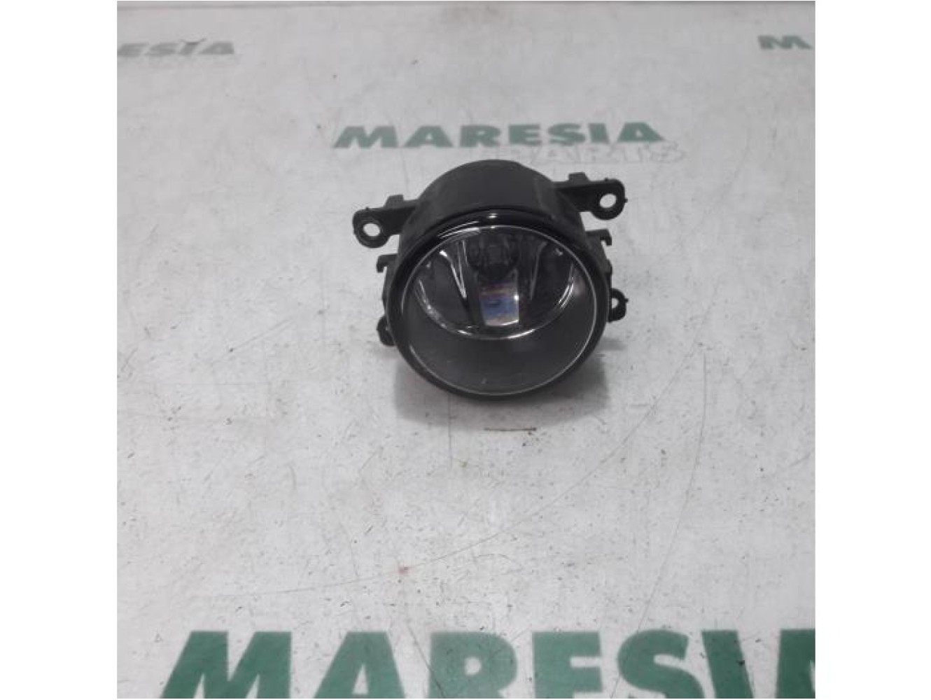 Renault - Megane Scenic - Fog light, front right