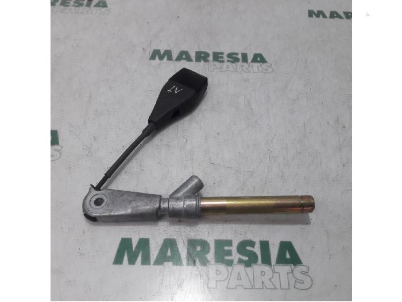 Renault - Megane Scenic - Gordelspanner links