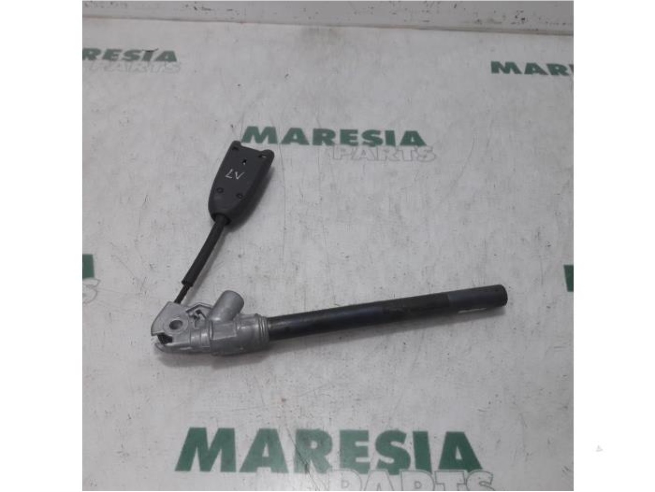 Renault - Megane Scenic - Gordelspanner links