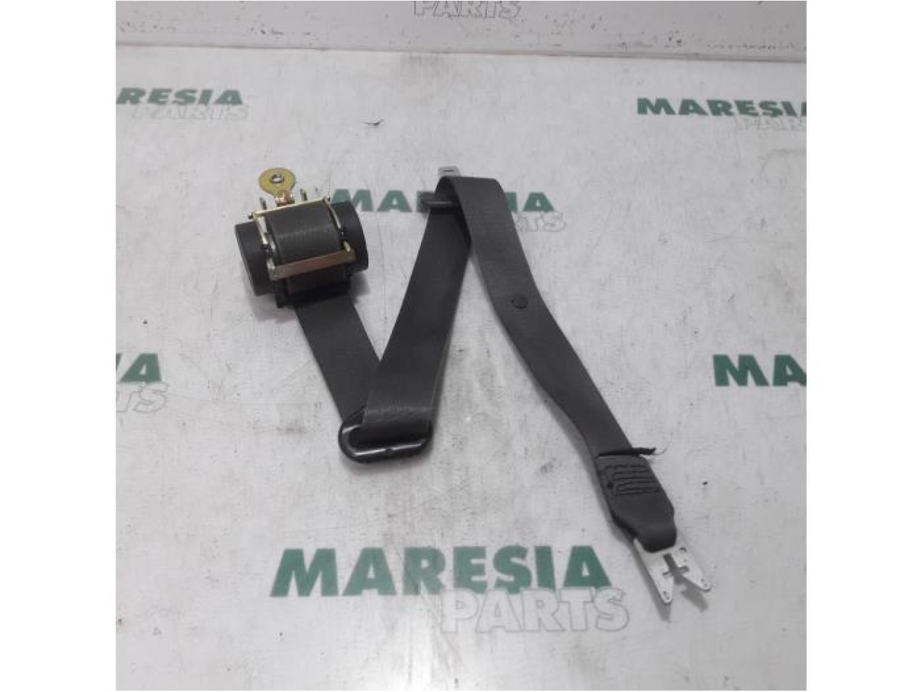 Renault - Megane Scenic - Front seatbelt, left