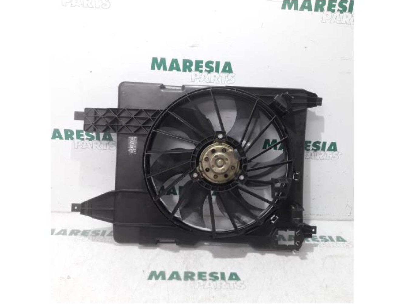 Renault - Megane Scenic - Kühlgebläse Motor