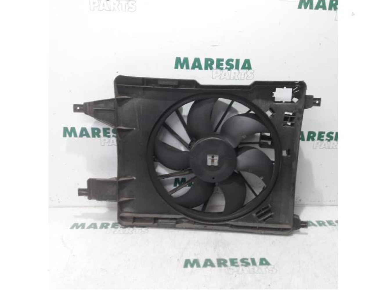Renault - Megane Scenic - Kühlgebläse Motor