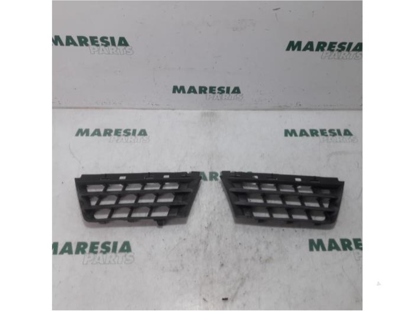 Renault - Megane Scenic - Grill