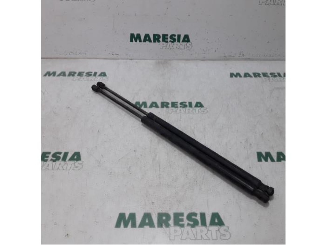 Fiat - Stilo - Set of tailgate gas struts