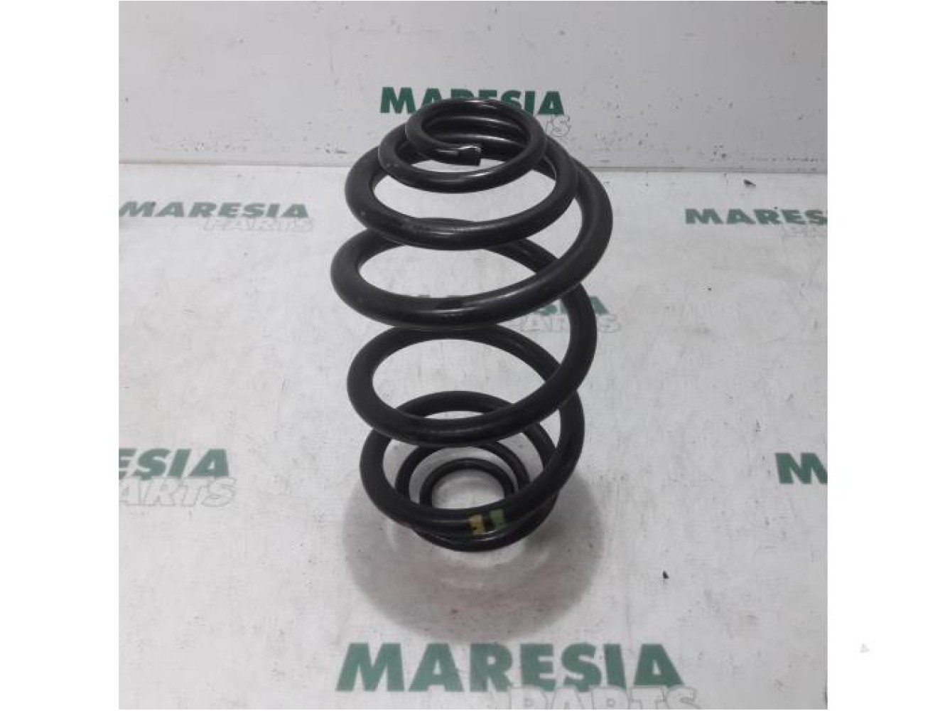 Renault - Trafic - Rear coil spring
