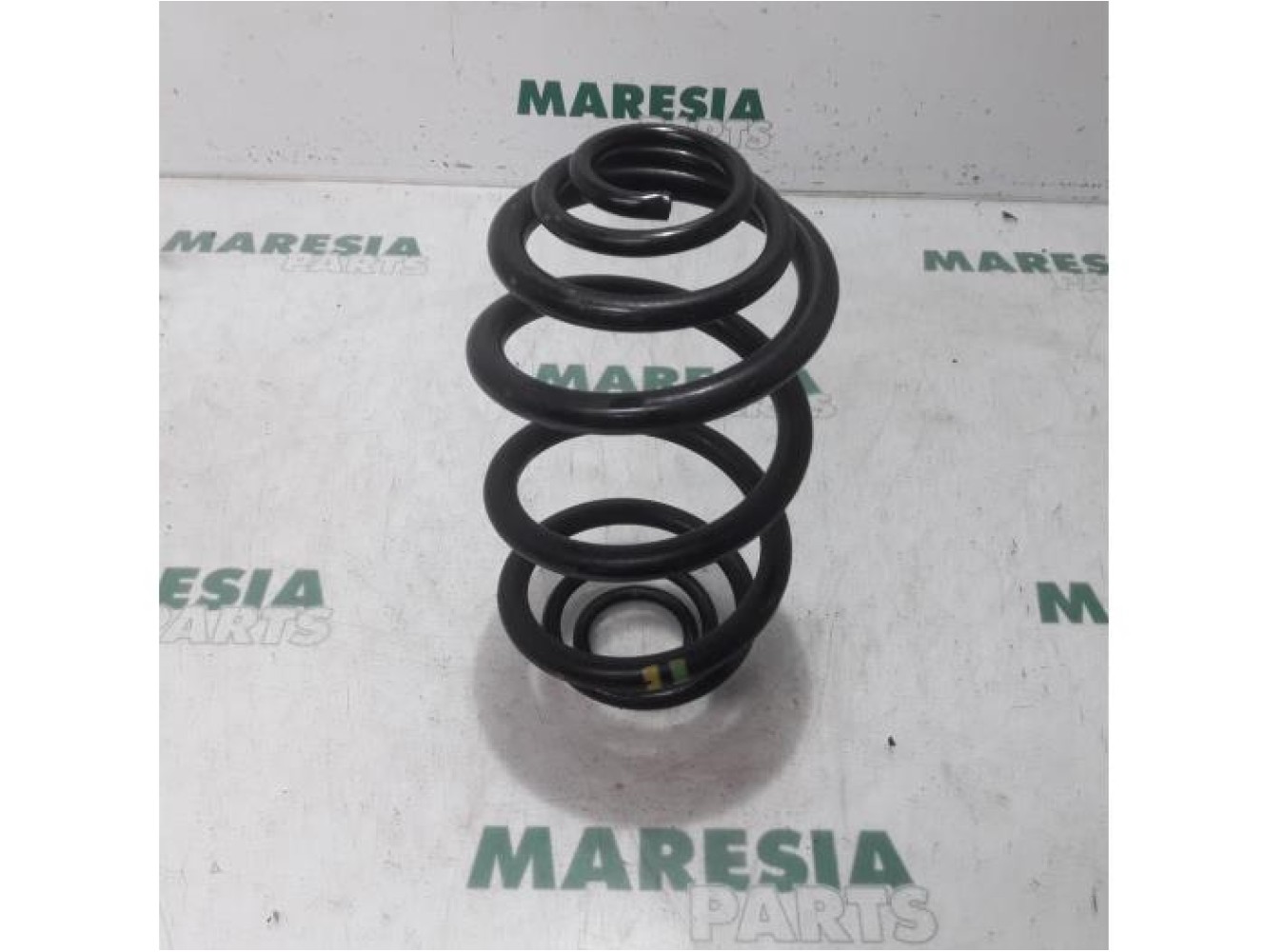 Renault - Trafic - Rear coil spring