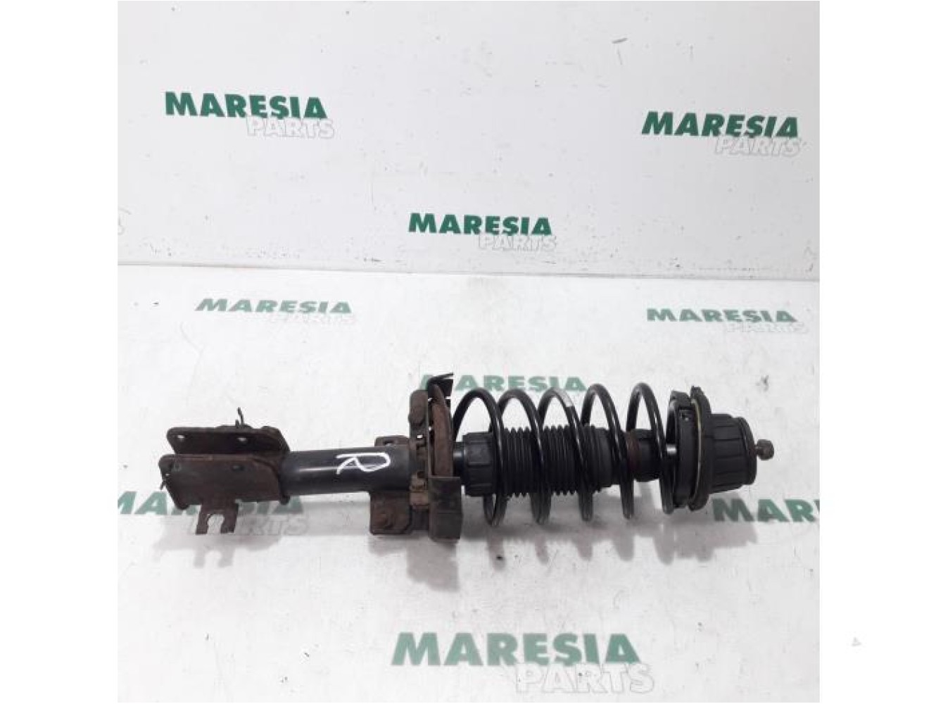 Fiat - Stilo - Front shock absorber rod, right