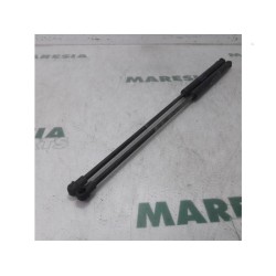 Citroen - C4 - Set of tailgate gas struts