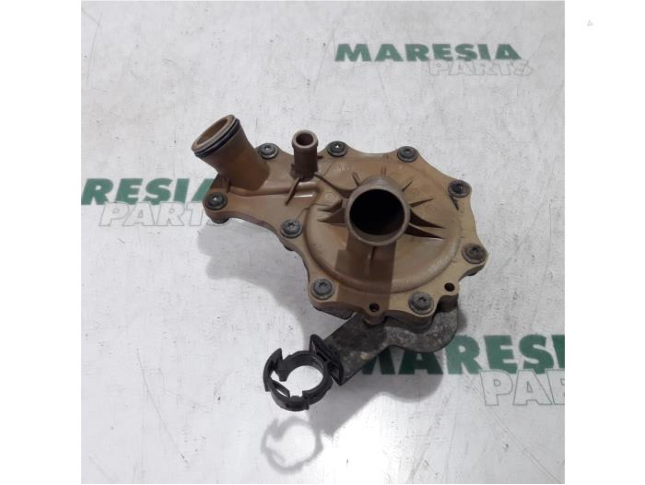 Fiat - Ducato - Wasserpumpe