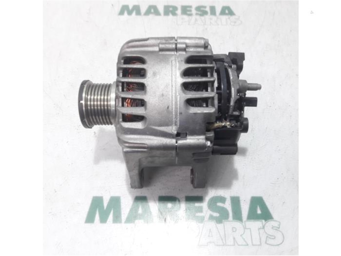 Renault - Megane Scenic - Dynamo
