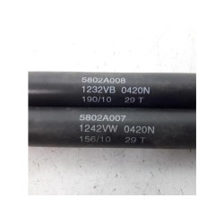 Citroen - C-Crosser - Set Gasdämpfer Heckklappe