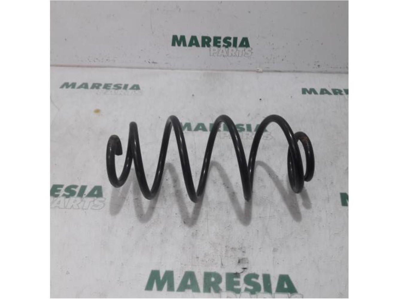 Fiat - Doblo - Rear coil spring