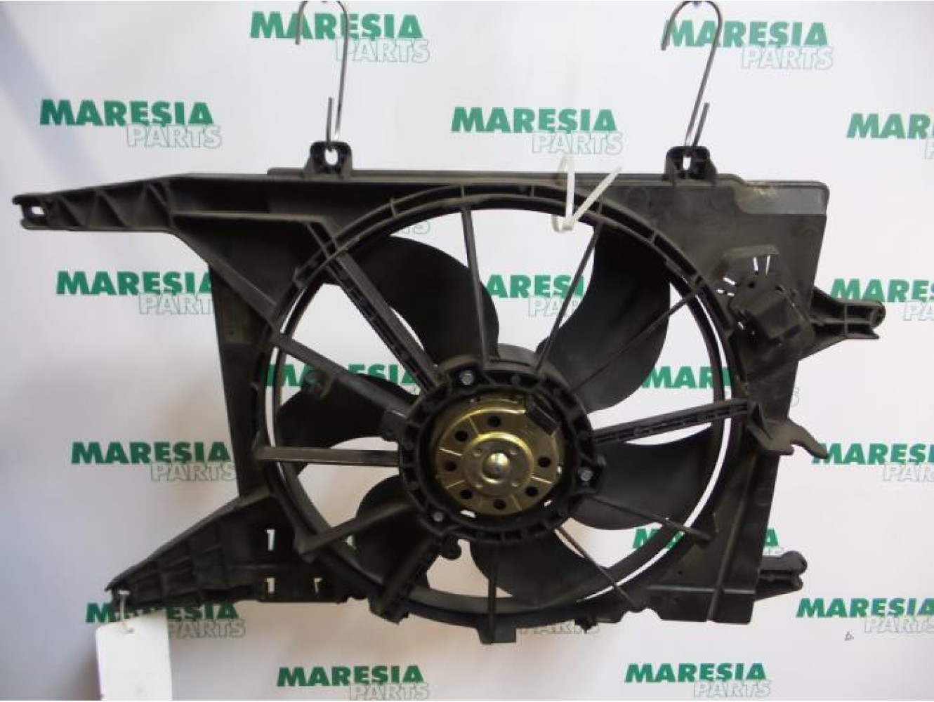 Renault - Megane Scenic - Kühlgebläse Motor