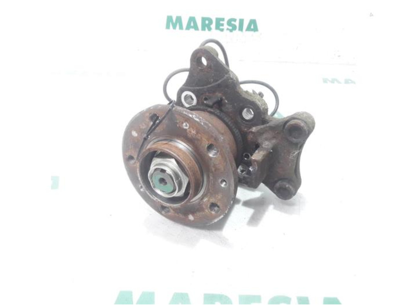 Fiat - Ducato - Achsschenkel links hinten