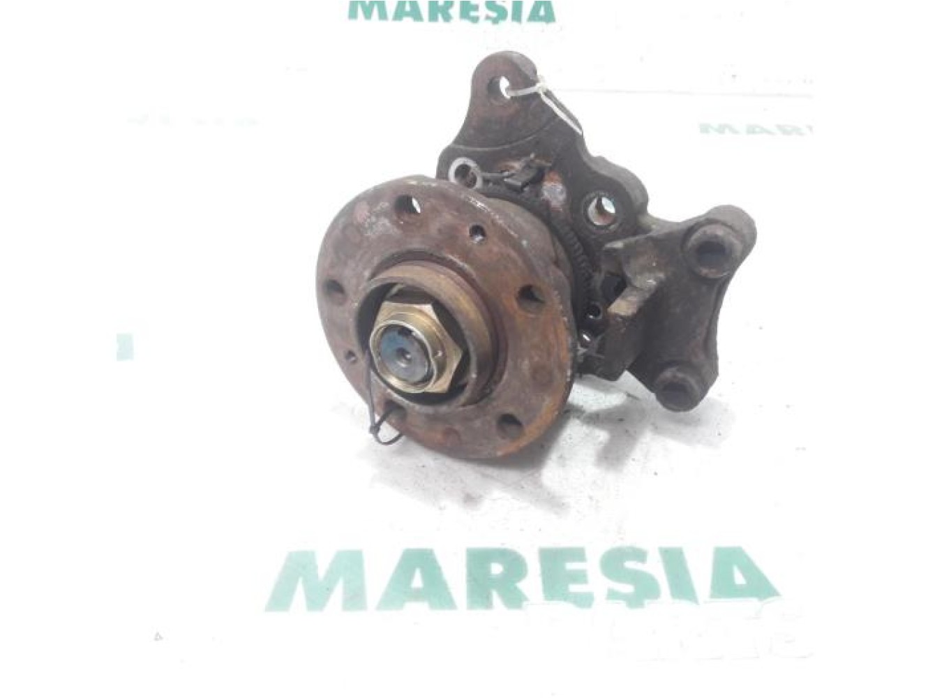 Fiat - Ducato - Achsschenkel links hinten