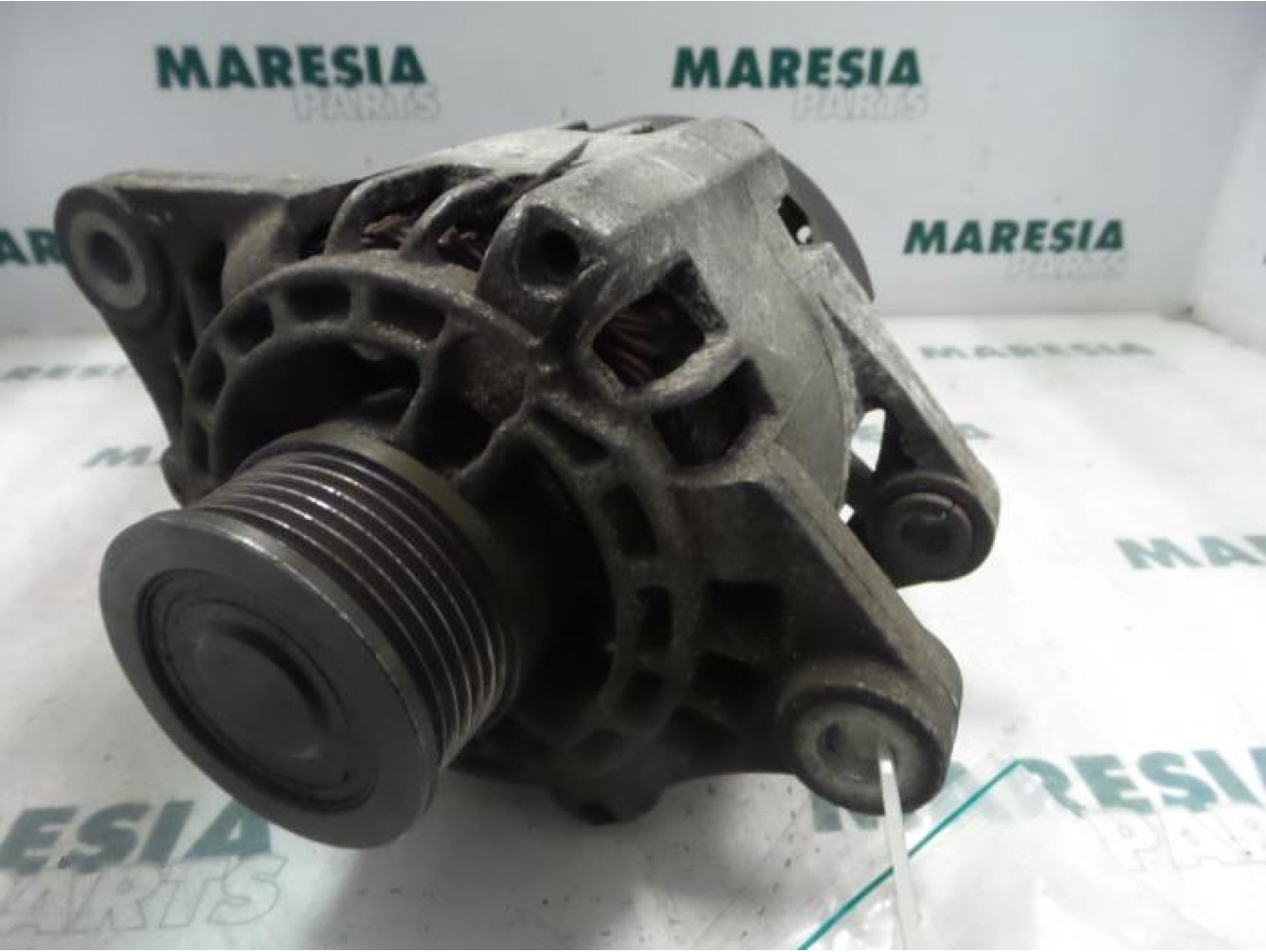 Fiat - Punto - Dynamo