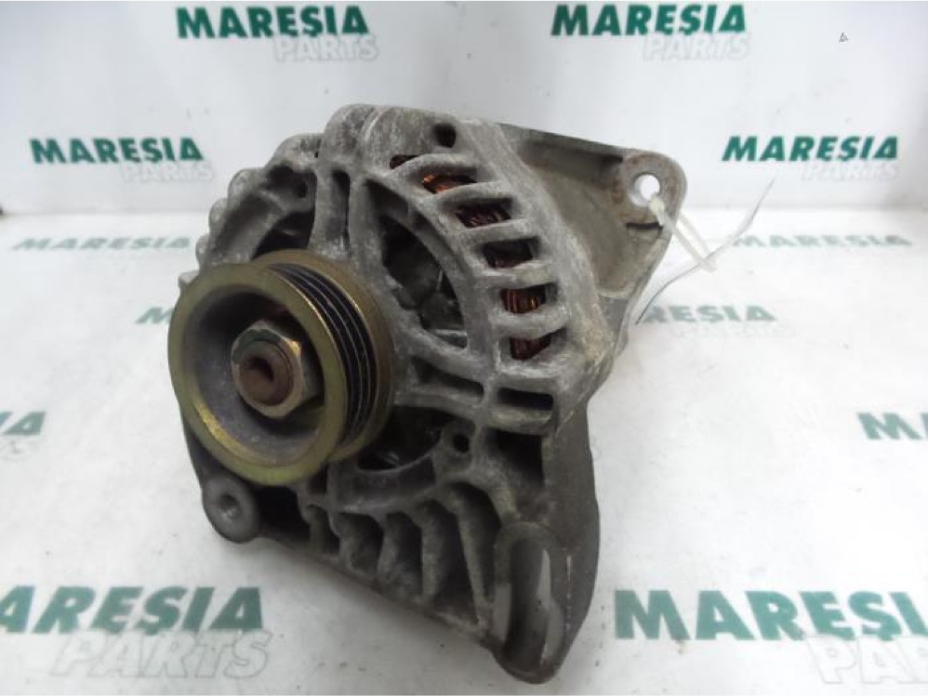 Fiat - Punto - Dynamo