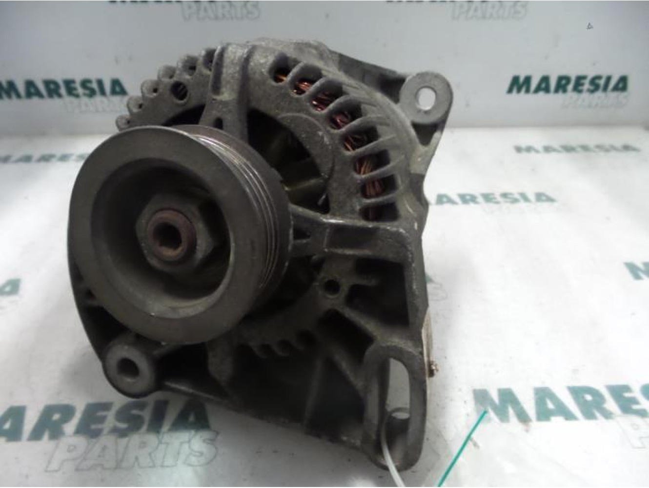 Fiat - Punto - Dynamo