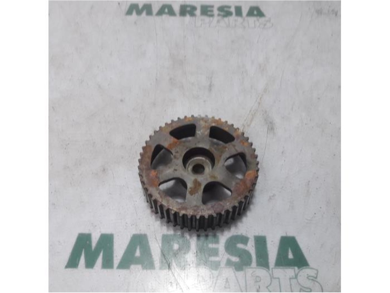 Fiat - Stilo - Camshaft sprocket